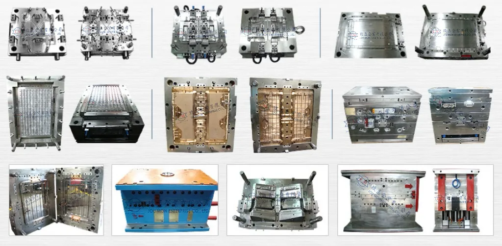 Mold Displays Mold Displays